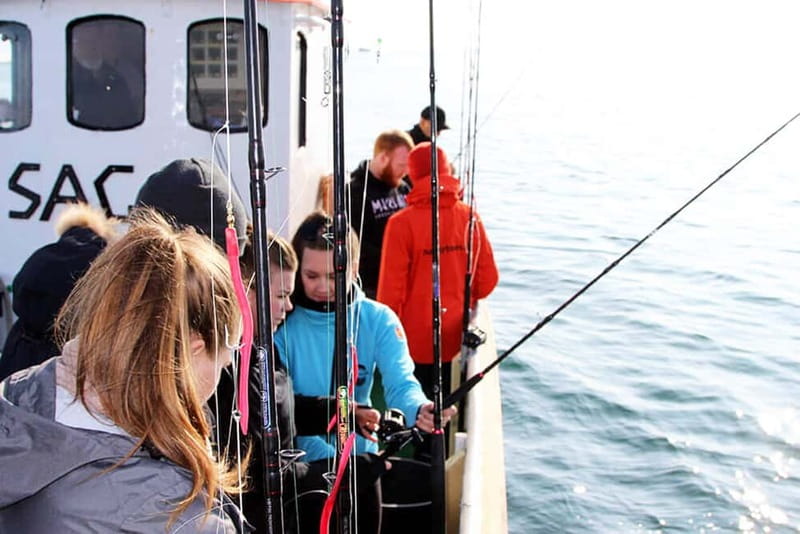 Reykjavik: Traditional Sea Fishing with BBQ Feast - Sailing into the bay and finding the fish