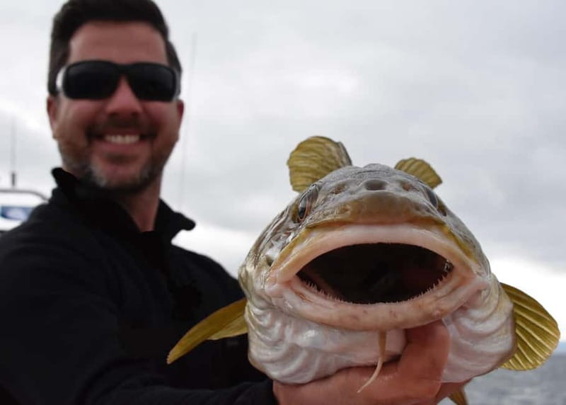 Reykjavik: Traditional Sea Fishing with BBQ Feast - Weather, clothing, and seasickness