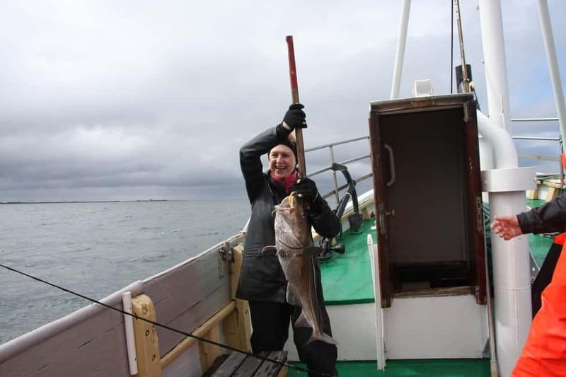 Reykjavik: Traditional Sea Fishing with BBQ Feast - Is $176 a fair price?