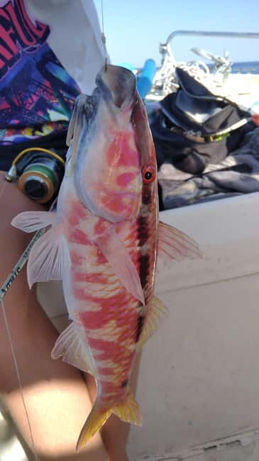 Rhodes: (4H/6H) Private Boat Fishing Trip with Equipment - Quick facts about the Rhodes fishing trip