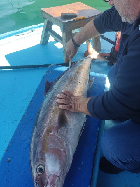 Rhodes Town: Fishing Boat Trip with Fish Meal and Swim Stops - Learning to fish from the crew