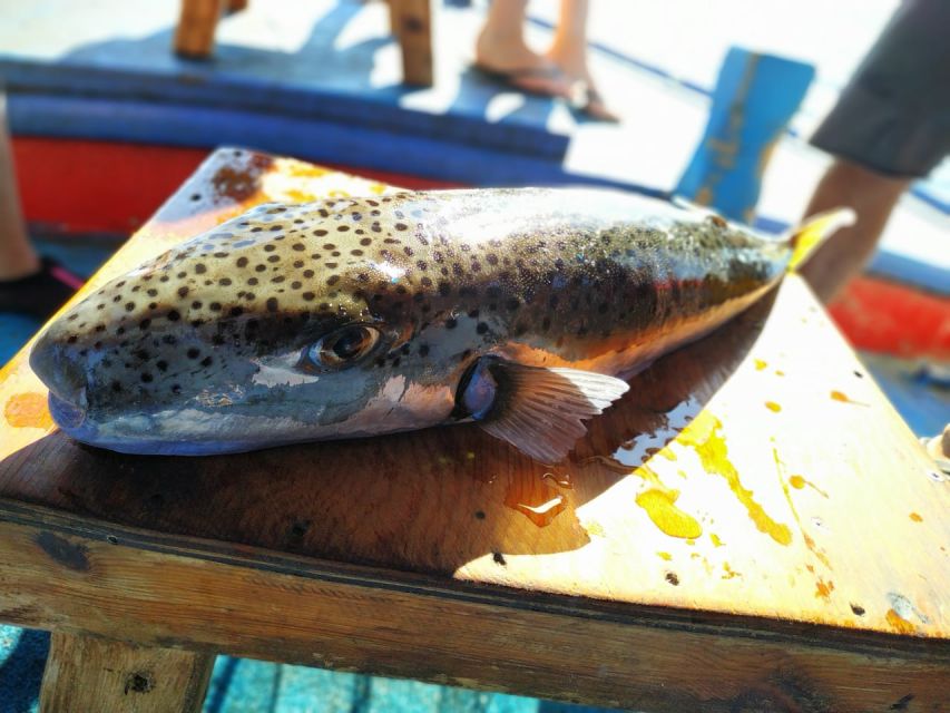 Rhodes Town: Fishing Boat Trip with Fish Meal and Swim Stops - Meeting the boat at Mandraki Harbor