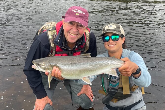 River Fishing and Bear Watching - Bear watching without a staged wildlife show