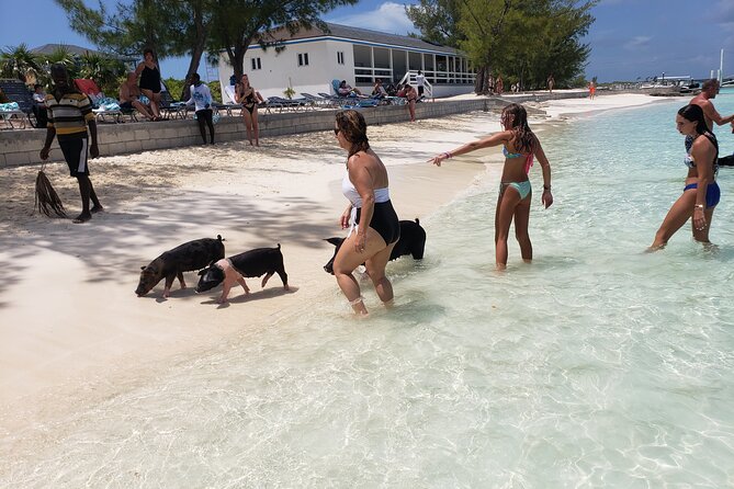 Rose Island: Private Snorkeling, Fishing, and Swimming with Pigs - Key points to know before you book