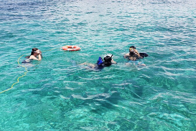 Rose Island: Private Snorkeling, Fishing, and Swimming with Pigs - Swimming with pigs, and the extra charge