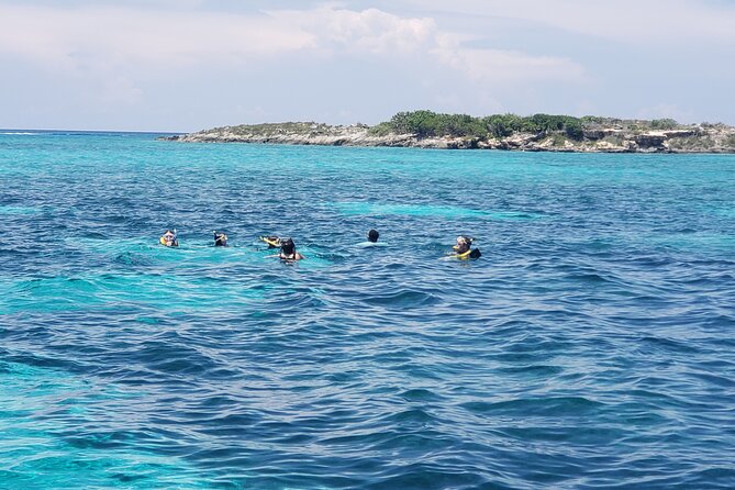 Rose Island: Private Snorkeling, Fishing, and Swimming with Pigs - Weather is the biggest variable