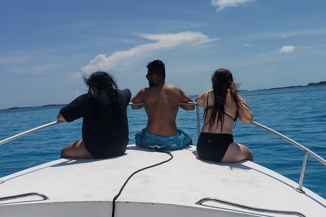 Rose Island: Private Snorkeling, Fishing, and Swimming with Pigs - Who gets the best value from the $850 price