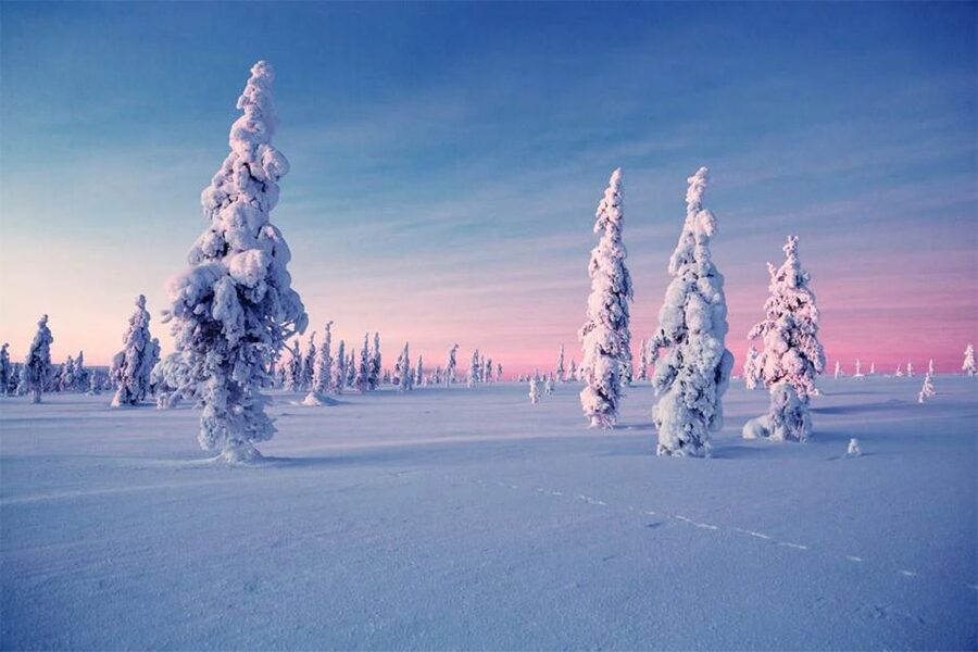 Rovaniemi: Half-Day Snowmobile & Ice Fishing Experience - Starting in Rovaniemi with warm clothing and clear rules