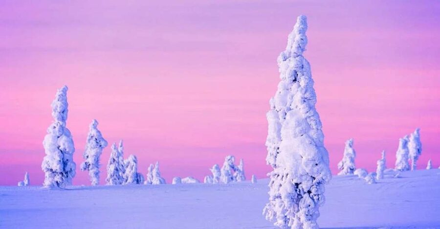 Rovaniemi: Half-Day Snowmobile & Ice Fishing Experience - What the $258 price includes
