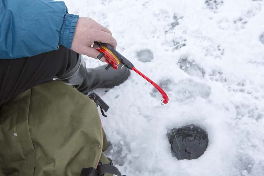 Rovaniemi: Husky and Reindeer Ride with Ice Fishing - Key details before you book