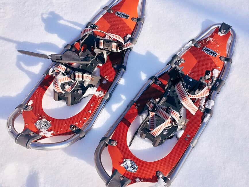 Rovaniemi: Snowshoeing, Ice Fishing and Salmon in Kota - Five things to know before booking