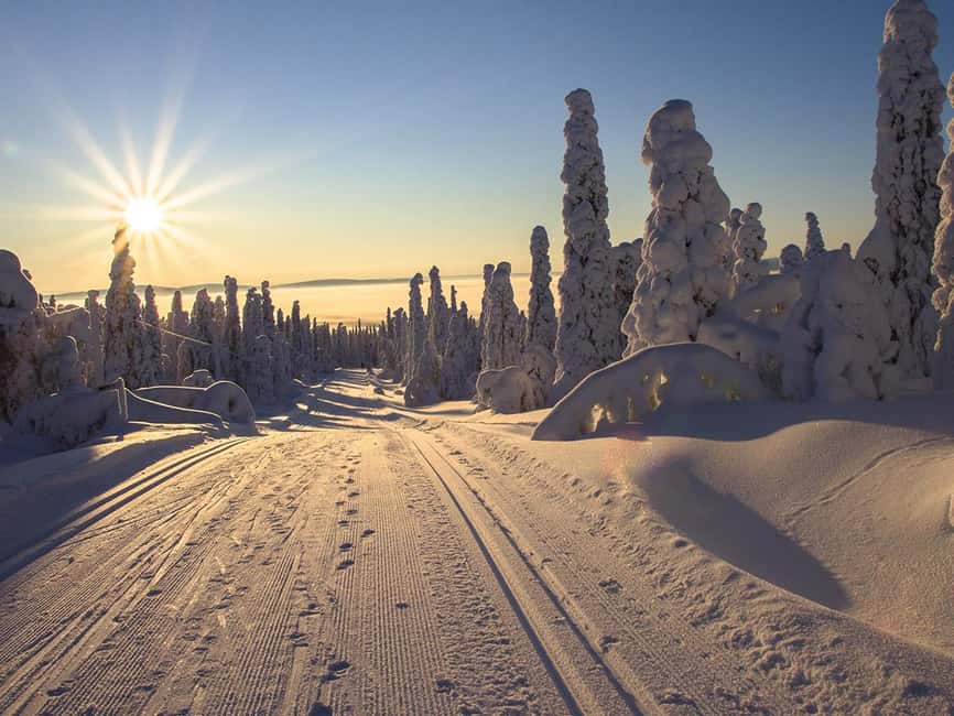 Rovaniemi: Snowshoeing, Ice Fishing and Salmon in Kota - From Rovaniemi to the quiet forest