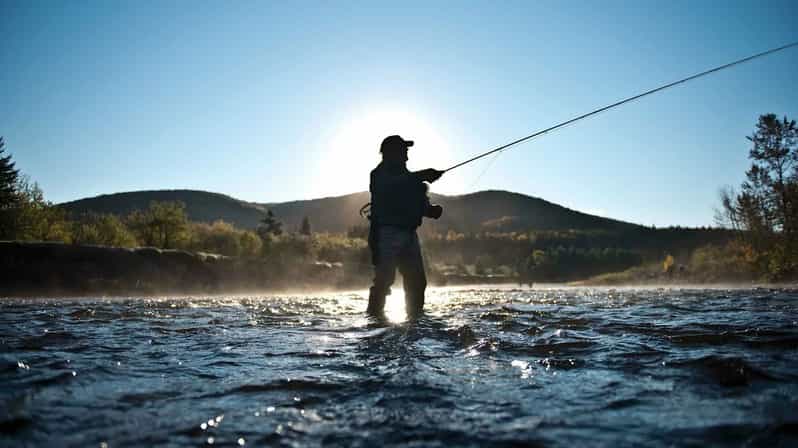 Rovaniemi: Summer & Autumn Fishing Tour in Lapland & BBQ - Who should book this four-hour outing?