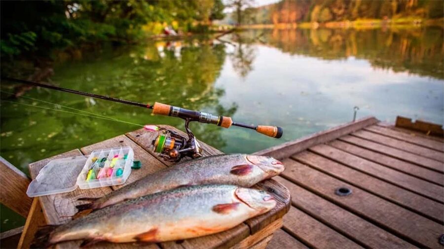 Rovaniemi: Summer & Autumn Fishing Tour in Lapland & BBQ - Warm drinks and a sausage barbecue beside the water