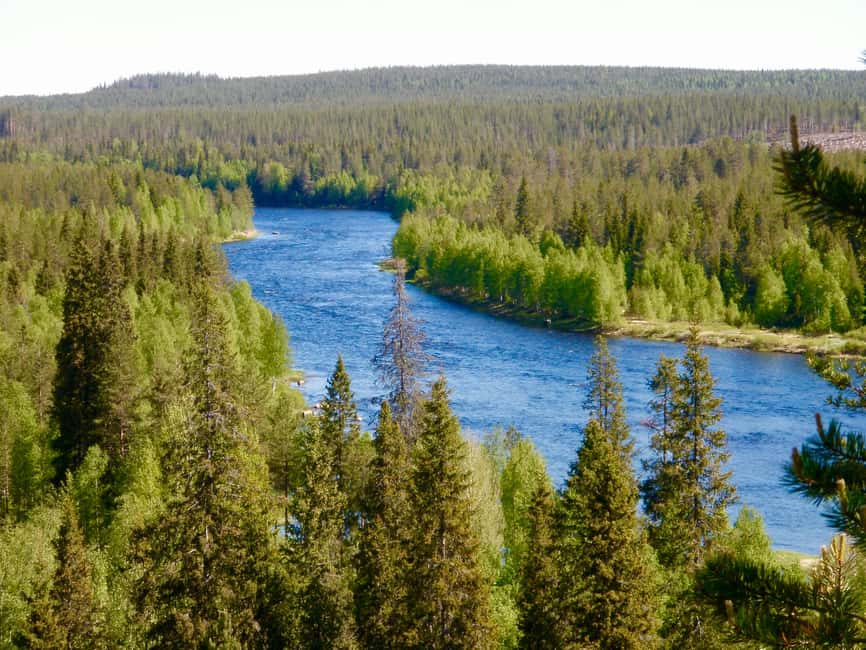 Rovaniemi: Summer & Autumn Fishing Tour in Lapland & BBQ - The guide makes a big difference