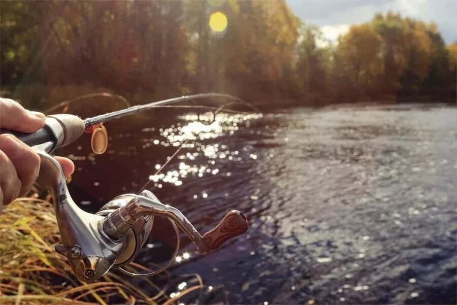 Rovaniemi: Summer & Autumn Fishing Tour in Lapland & BBQ - How much value do you get for $128?