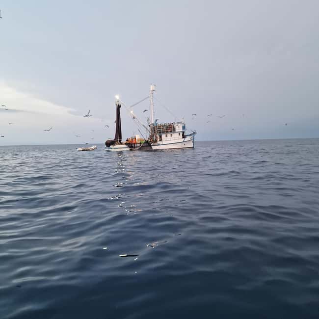 Rovinj fishing tour with boat - Fishing with a local fisherman beside you