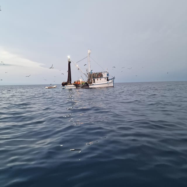 Rovinj fishing tour with boat - Taking your catch home