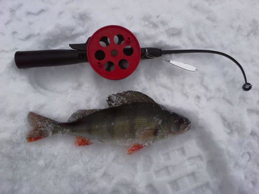 Ruka: Ice fishing trip - Who will enjoy this trip most