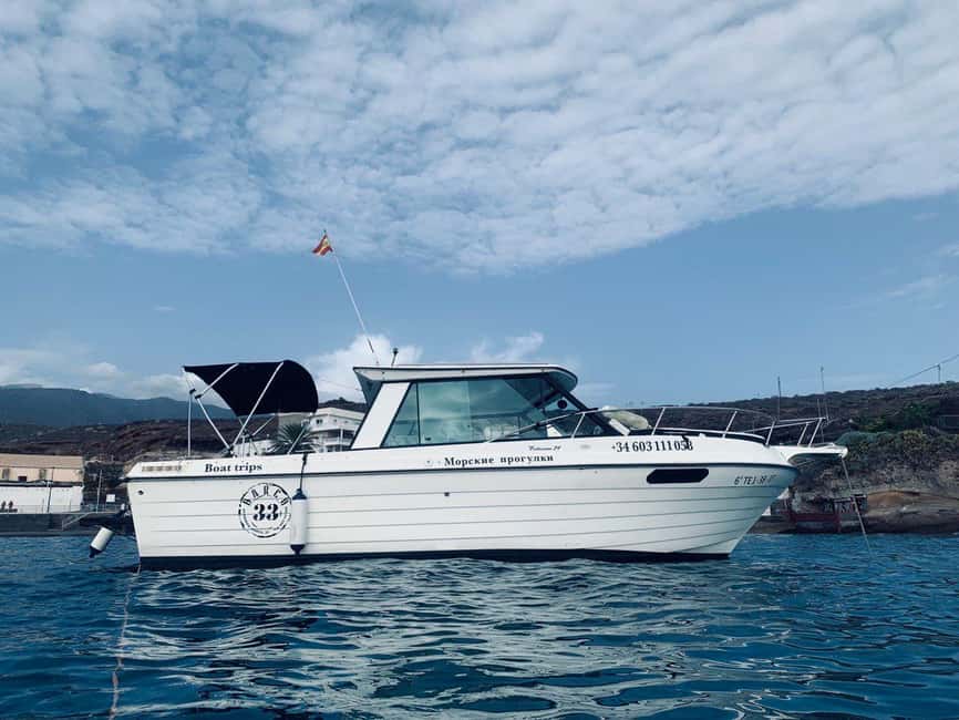 Santa Cruz de Tenerife: Private Family Fishing Tour - How rough is the boat ride?