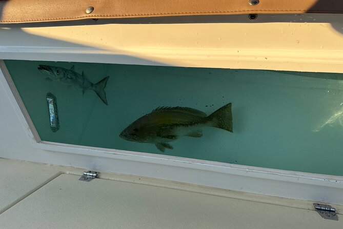 Santorini Fishing Private Cruise boat tour - BBQ, Snorkeling - Sunset and the Five-Hour Pace