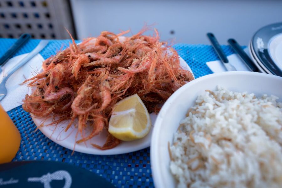 Santorini: Traditional Fishing Trip and Fresh Fish Lunch - Learning traditional fishing near Santorini’s southern coast