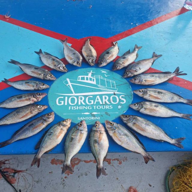 Santorini: Traditional Fishing Trip and Fresh Fish Lunch - What the $188 price really buys you