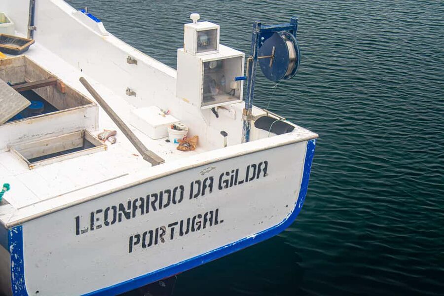 Sao Miguel: Azores Traditional Fishing - Half Day - How the skipper shapes the route