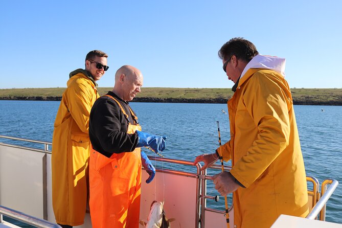 Sea Fishing Experience from Reykjavik - Key points to know before you book