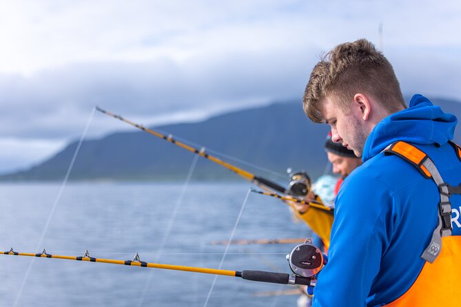 Sea Fishing Experience from Reykjavik - From Geirsgata 11 to Faxaflói Bay