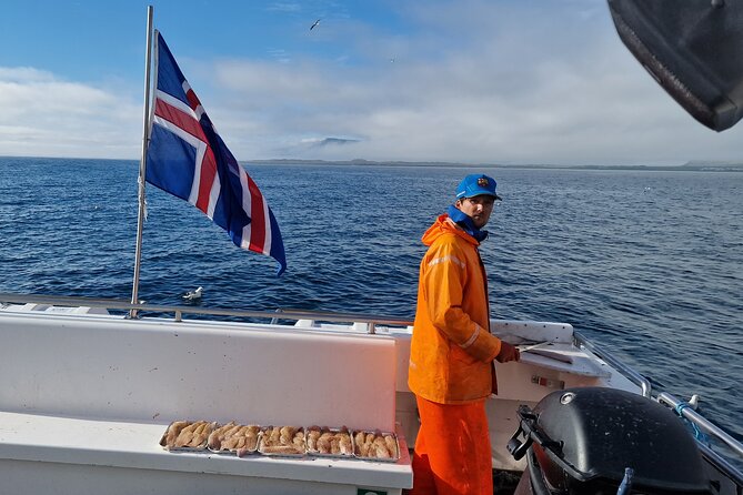 Sea Fishing Experience from Reykjavik - Puffins, dolphins, and the open-water scenery