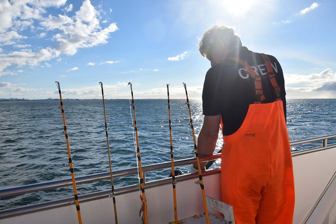 Sea Fishing Experience from Reykjavik - Weather, cancellations, and practical planning
