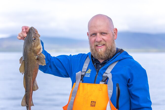 Sea Fishing Experience from Reykjavik - What the three-hour trip feels like