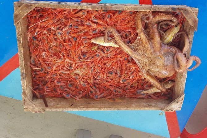 Semi - Private Fishing Tour (transportation included) - Is $193.57 a fair price?