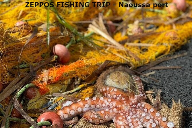 Semipriv FishingTour on Kaiki Paros/Naousa or Private sunset tour - Final verdict: book it for the full sea-day experience