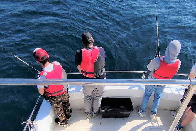 Sesimbra: All-inclusive Sport Fishing Tour - Cruising the Arrabida Natural Park on the way back