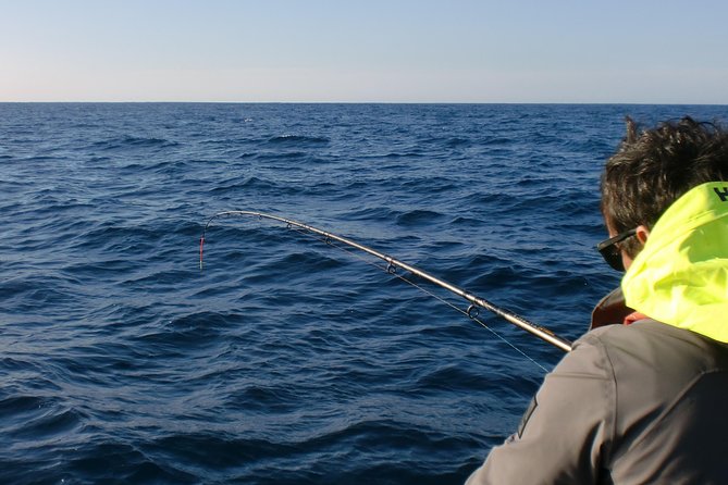 Sesimbra: All-inclusive Sport Fishing Tour - Who will enjoy this five-hour outing
