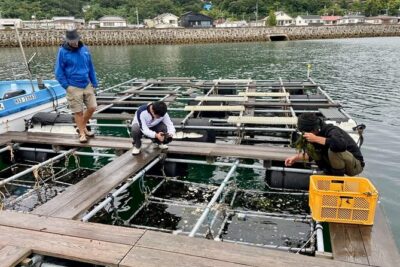 Setouchi Fishing and Culinary Adventure