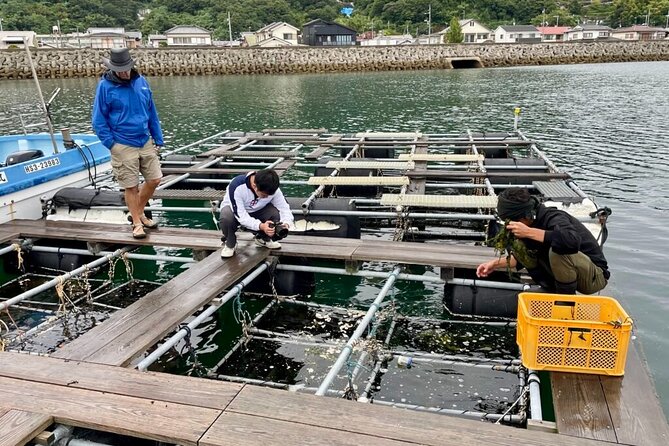 Setouchi Fishing and Culinary Adventure - From fresh catch to a multi-course dinner