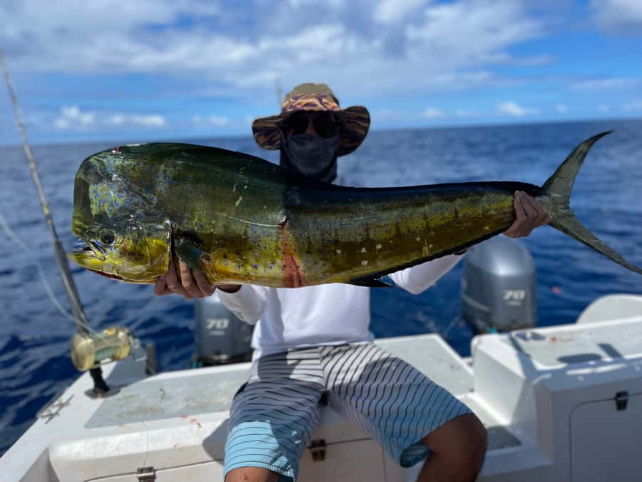 Seychelles: Guided Fishing Trip with Pickup and Equipment - How the half-day and full-day choices differ