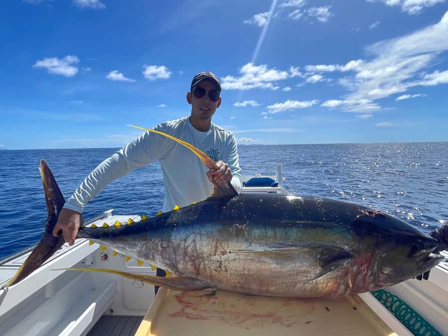 Seychelles: Guided Fishing Trip with Pickup and Equipment - What you might catch in the Indian Ocean