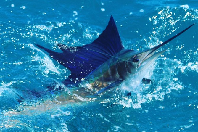 Shared BIG GAME Sportfishing Up To Six People - Who should book this fishing trip?