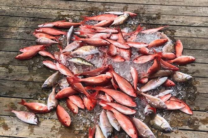 Shared Deep Sea Fishing Trip from Destin - Key things to know before you go