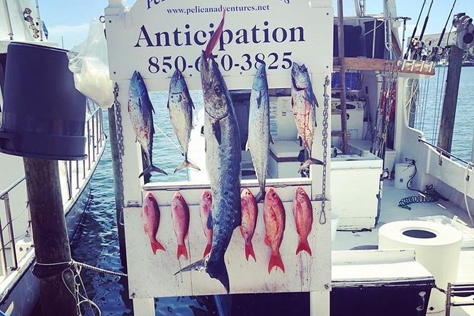 Shared Deep Sea Fishing Trip from Destin - A six-hour fishing trip in the middle ground