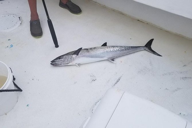 Shared Deep Sea Fishing Trip from Destin - Captain Mark and the deckhands