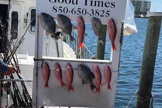 Shared Deep Sea Fishing Trip from Destin - Fish numbers, keeper fish, and the luck factor