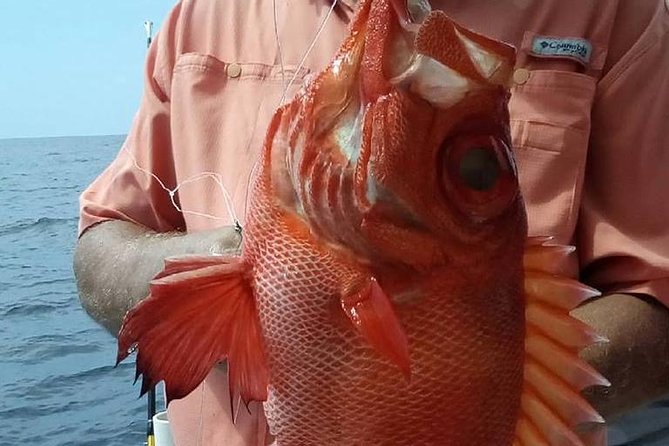 Shared Deep Sea Fishing Trip from Destin - Why the group size matters