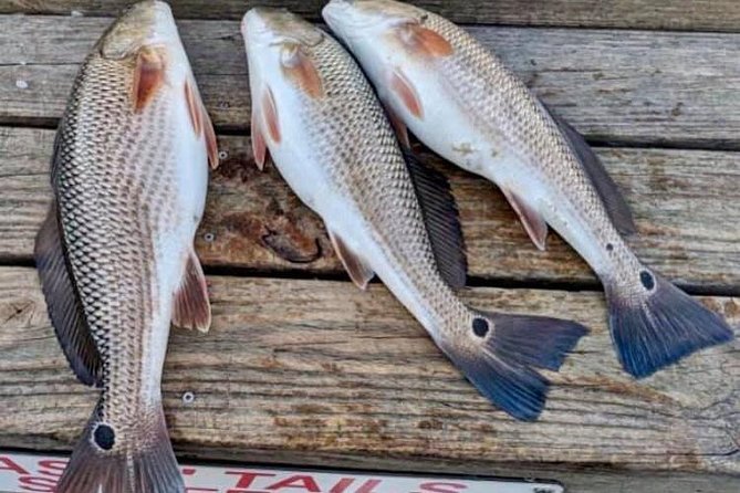 Shared Deep Sea Fishing Trip from Destin - Weather, comfort, and a flexible plan