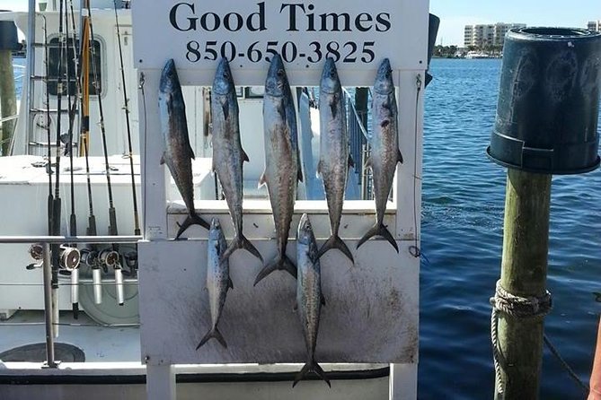 Shared Deep Sea Fishing Trip from Destin - Leaving Pelican Adventures at Harbor Boulevard
