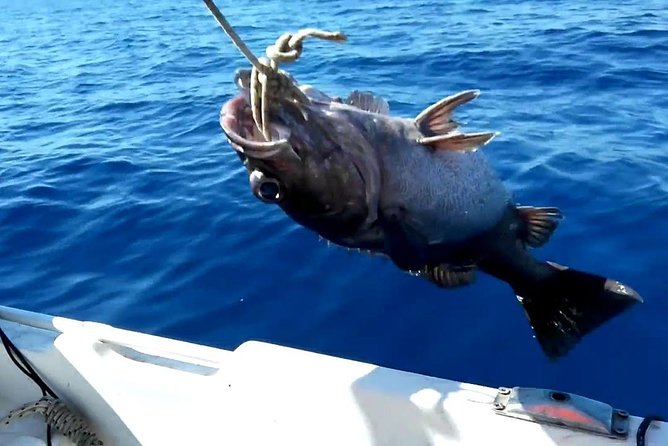 "Side Half-Day Fishing Adventure: Transfer Included!" - Setting out from Side at 7:00 am